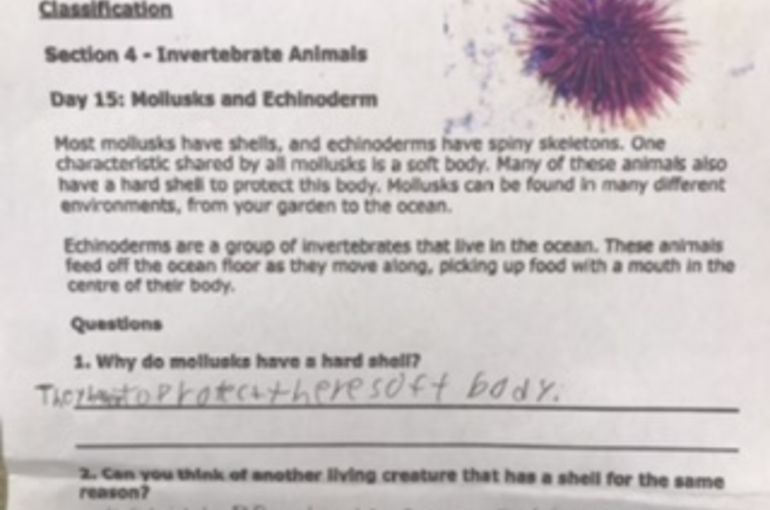 横浜の英語塾lae 学習の内容はビックヒストリー